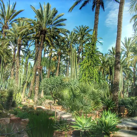 Ag Express Elche 2* Torrellano