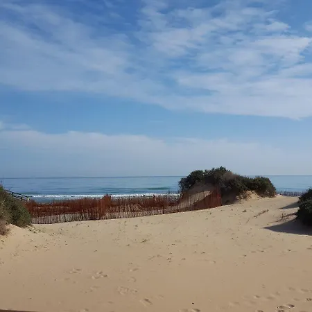 Ag Express Elche Torrellano