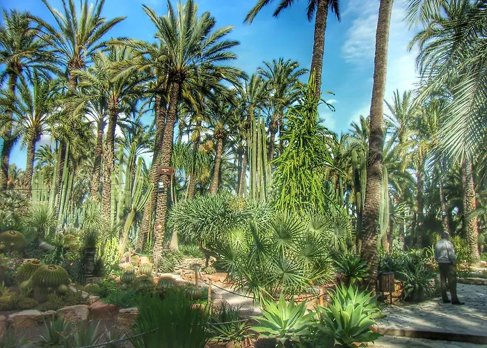 Ag Express Elche 2* Torrellano