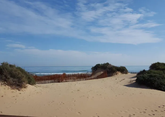 Ag Express Elche Torrellano