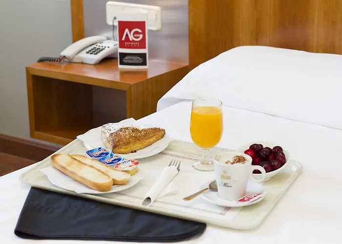 Hotel Ag Express Elche 2*